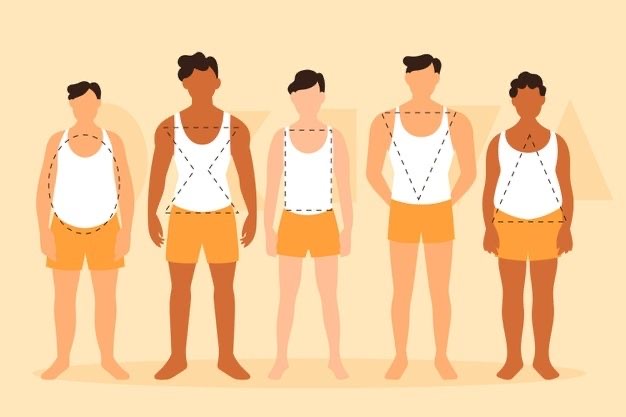 Different Body Types